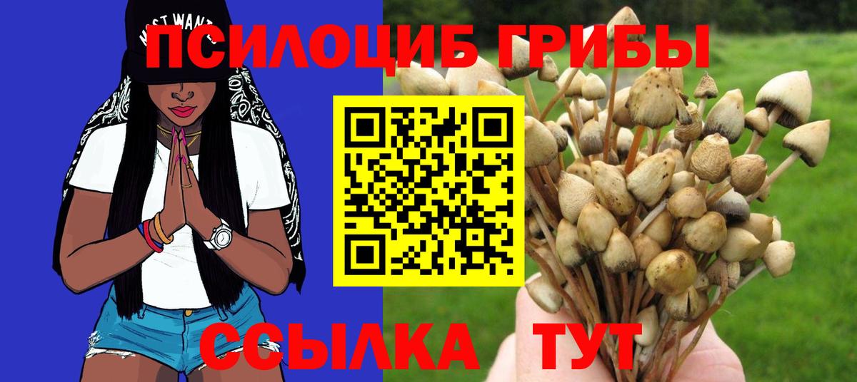 Гусев  закладки  Вход с VPN  Галлюциногенные грибы ЛСД 